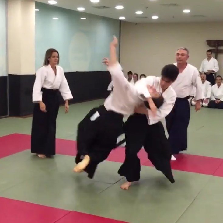 Aikido Teknikleri