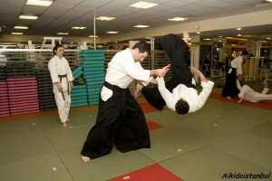 aikido-teknikleri.jpg